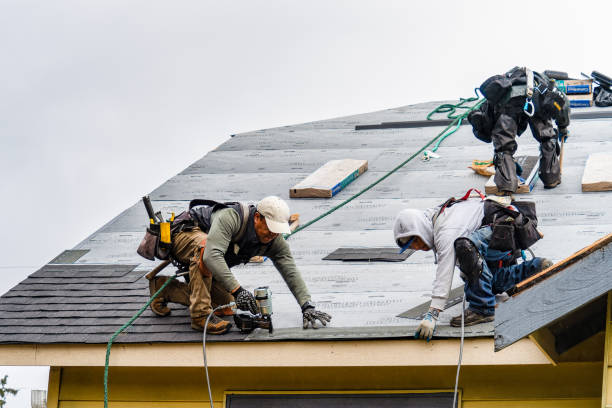 Professional Gutter Installation technician working in Virginia Beach, VA